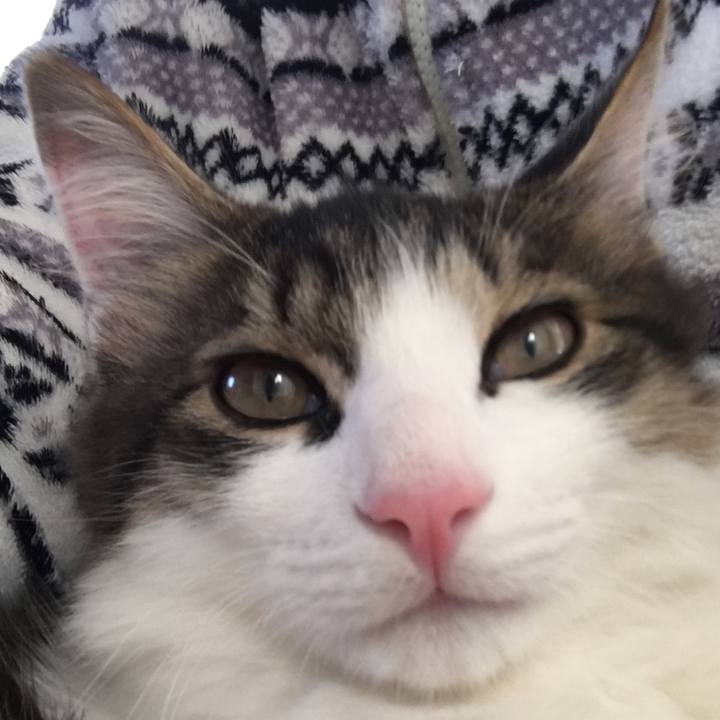 3fff5d25 a0da 4507 abdd b4a9b4793124