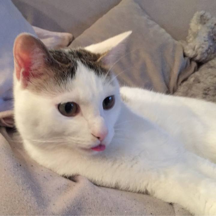 3fffd640 cf56 47cb b44f dd6ab2a5a4c5