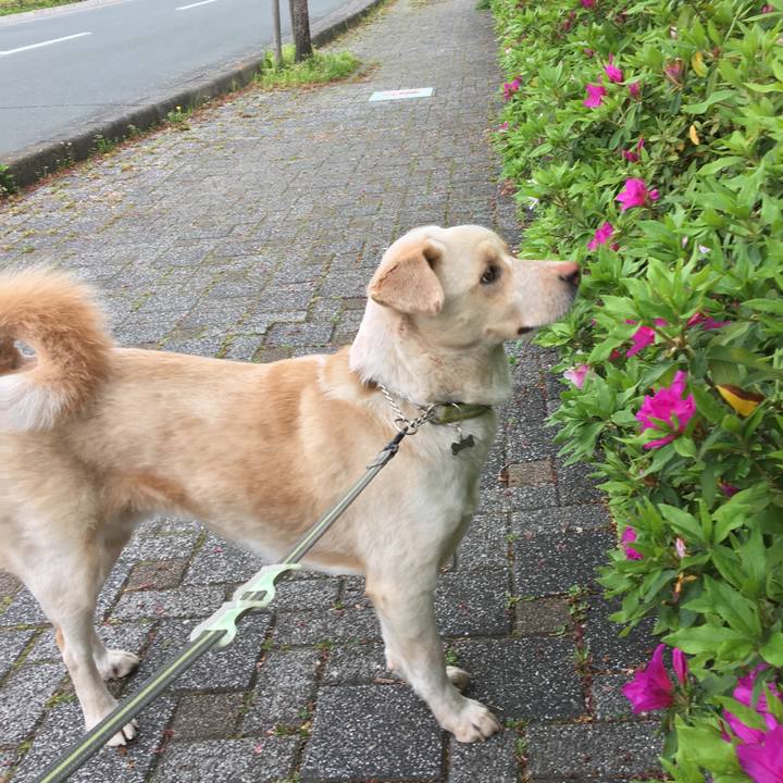 400068eb 2bf3 49d6 9333 130e3a1b8da4