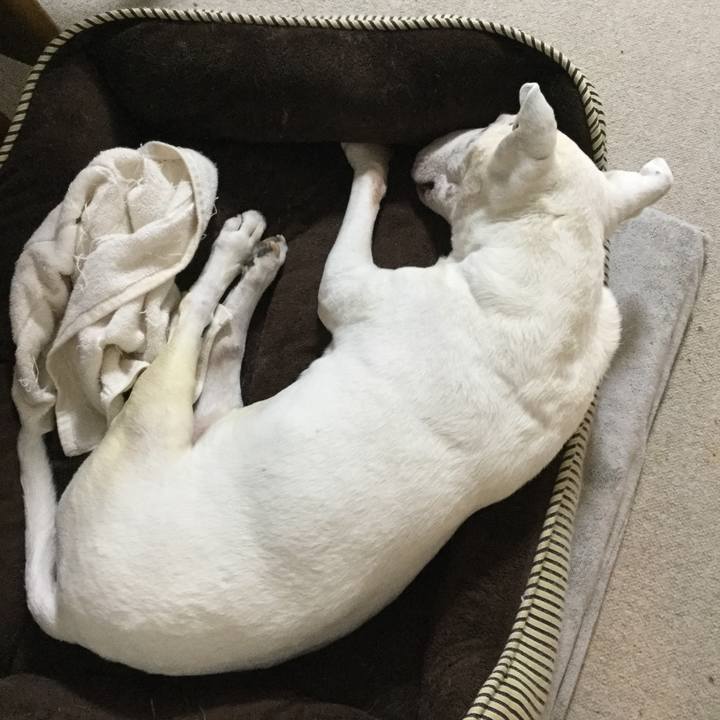 40006e0e 495b 477c 81a2 23ef8ee4b44d