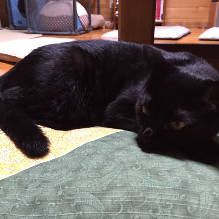 40007d35 7d80 411f abff edfae4804daf