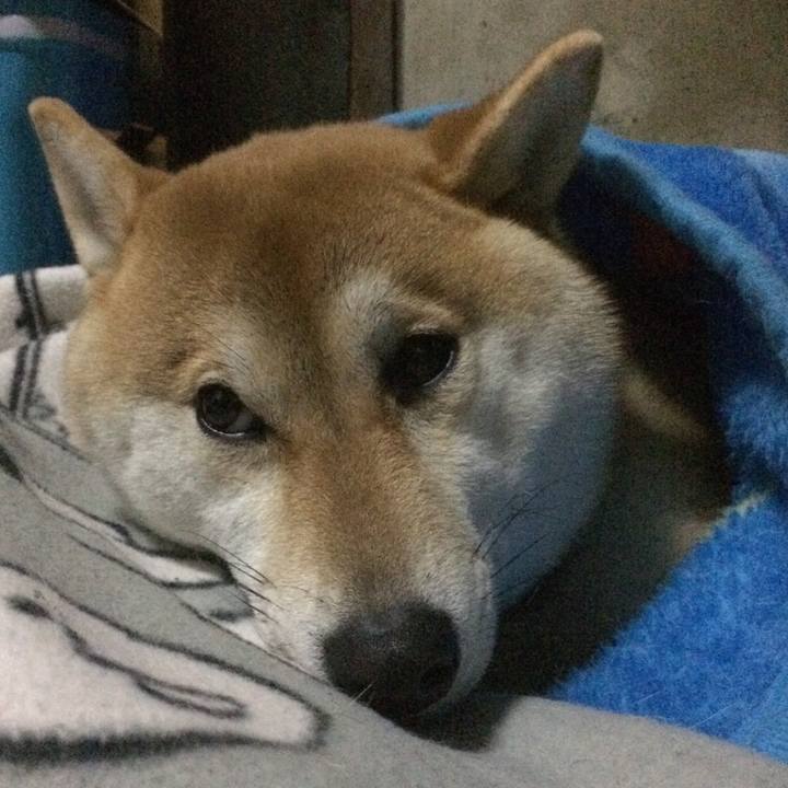 40017bcd a87f 45b2 a33b cdba2c8ed7a9