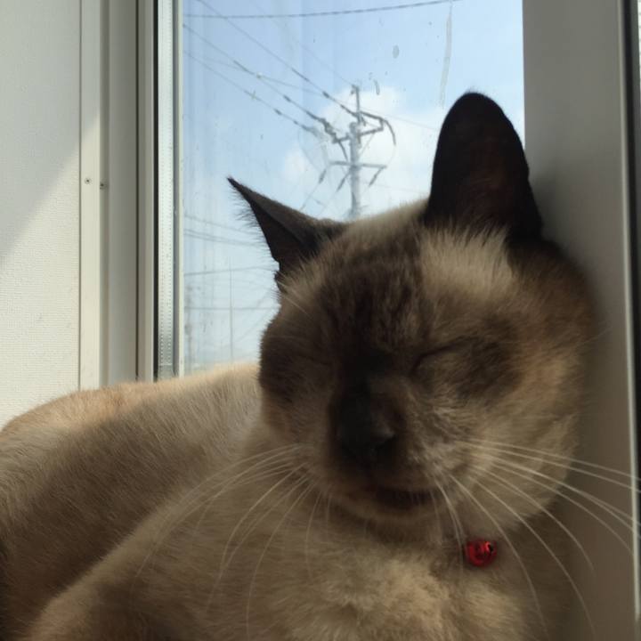 40036ff2 9659 4164 8de5 8a7a309a4dd7