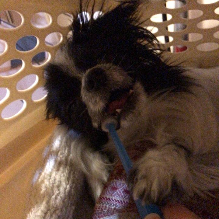 4003e4fb 9ed4 46ee 9591 089da4c69042