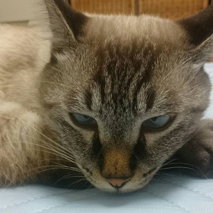 400432fb 5563 4ca6 a566 663b7629f05e