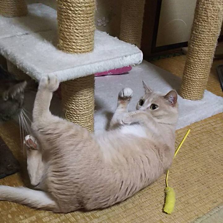 40046f6a 6476 430e 99c1 4600a1151f60