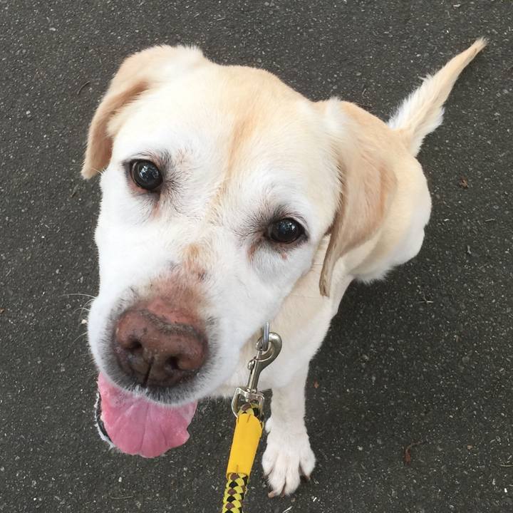 40048aab f36f 474e af25 2eb4173d4e29