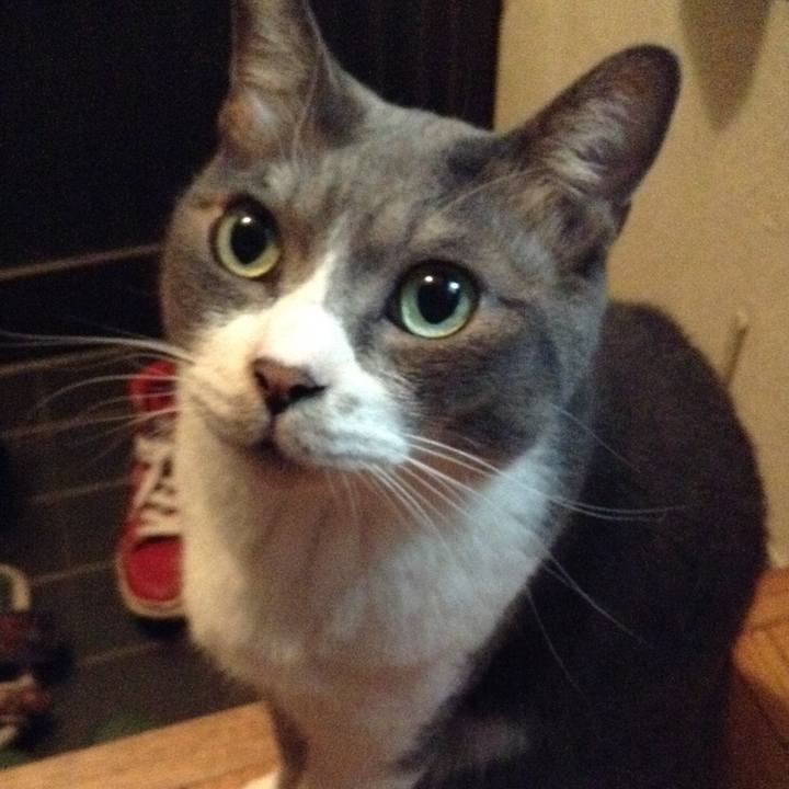 4005ae22 f42f 4f7e 892b 6e885797315b