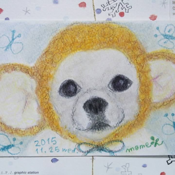 4005b990 40d7 48a6 9d27 a7299090576e