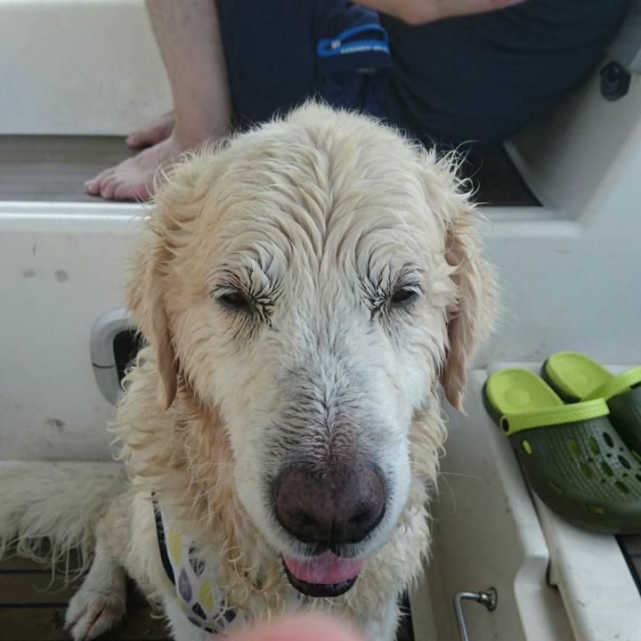 4005bdb5 fee4 4d87 a742 81f96092c967