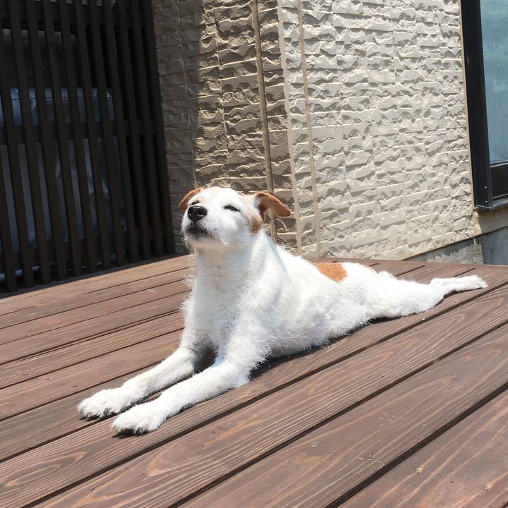 4007349c 1e98 4165 ba09 c998c7018aa8