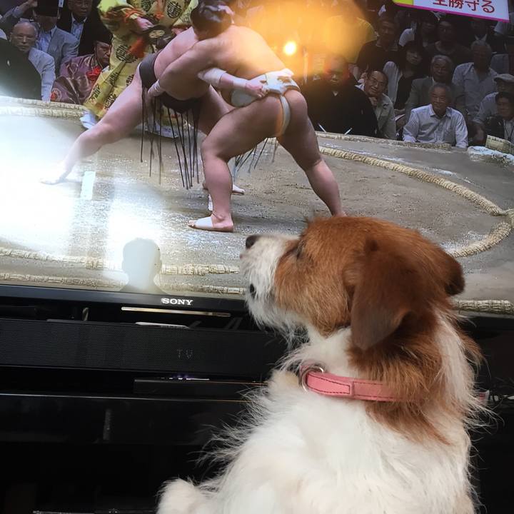 4007f2c7 6775 4b2b 92cb 6f72cf1e50eb