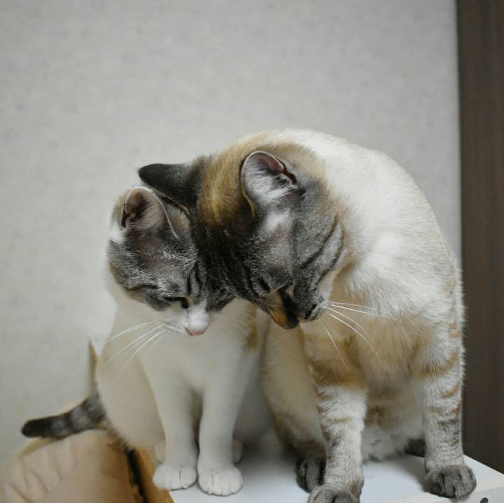 40082360 15c7 48d3 a149 d982578313f1