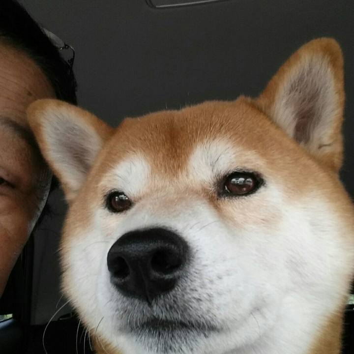 40092cb4 37ad 42ec ab02 b914ecde4a28