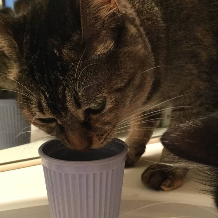 4009556a e569 47f5 8a92 1877d97e3984