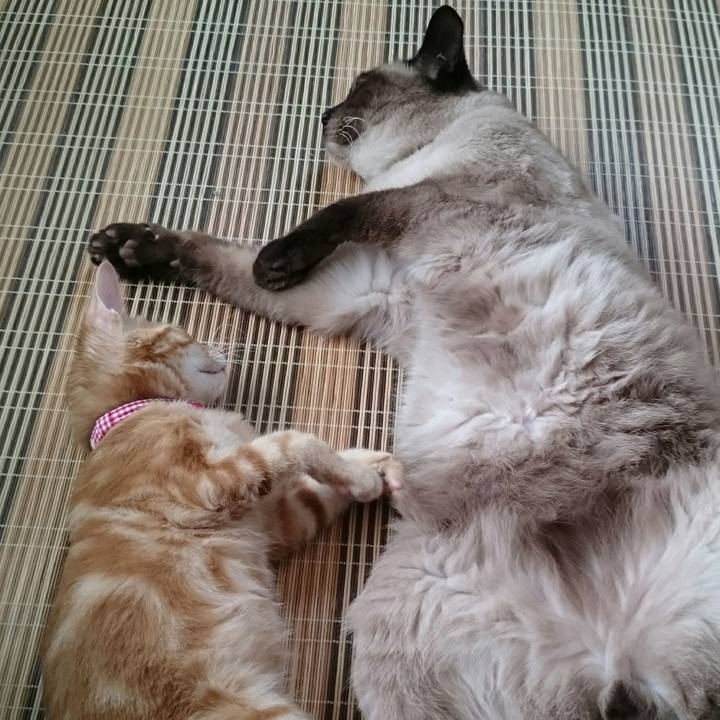 400964a9 31a1 4144 8536 89dff659c1fa