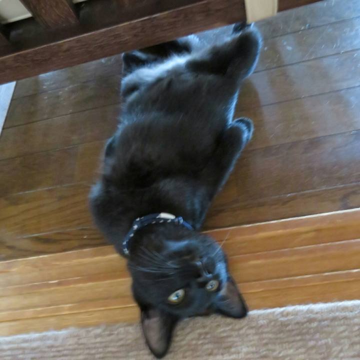 4009c895 d764 4c46 bafe c33bc36a1900