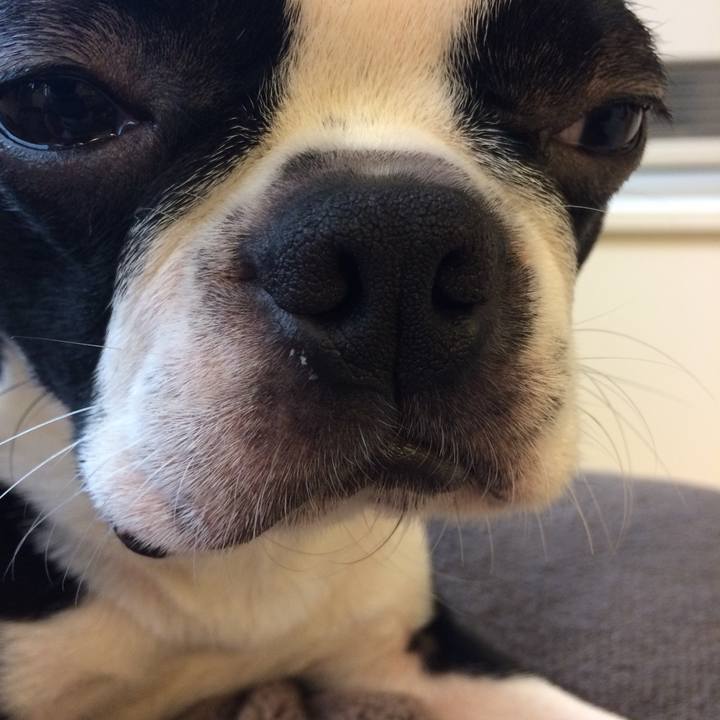 4009f36d fa30 4caf ad00 09248e761511