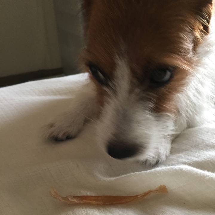 400a51cc 56e5 4995 a209 e8f66d5ad24e