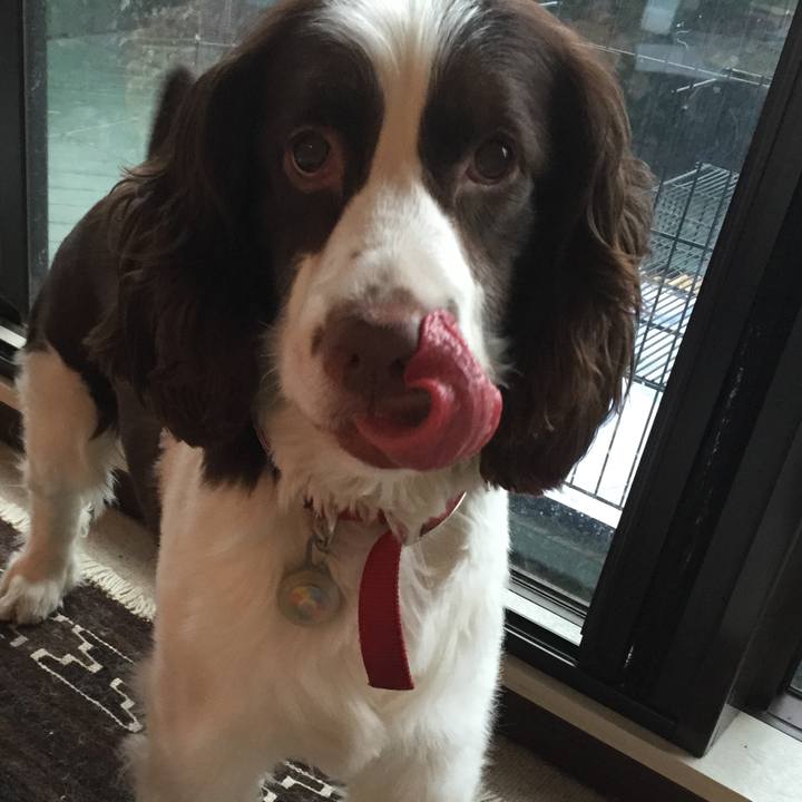 400ae26c ef0b 48b0 8457 58855b106ea2