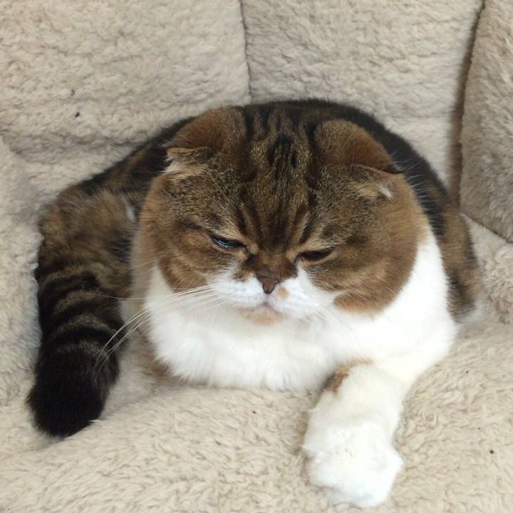 400b01e4 bedc 4dba aae0 1ae7bcb4eb6c