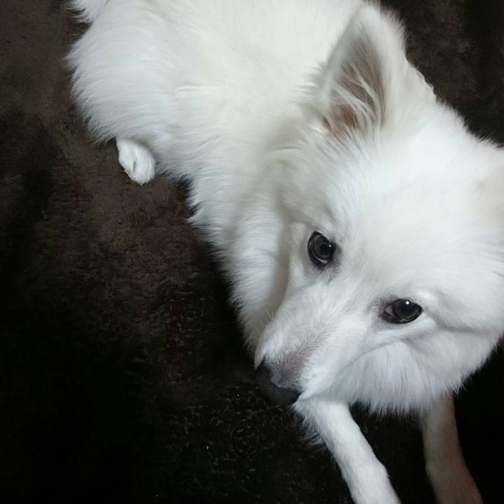 400b13b8 61c8 4083 9a2c a77b3dcf97db