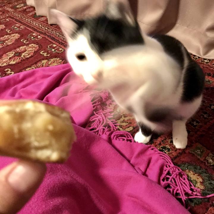 400bb0e1 6023 445e bacd 1daca6fae50f