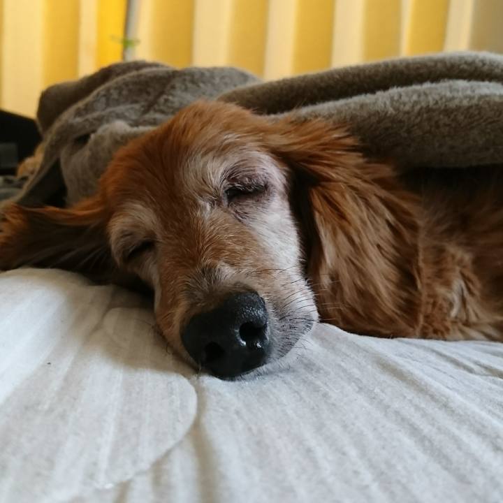 400c5881 315d 4113 b8ec 4bb3535a1832