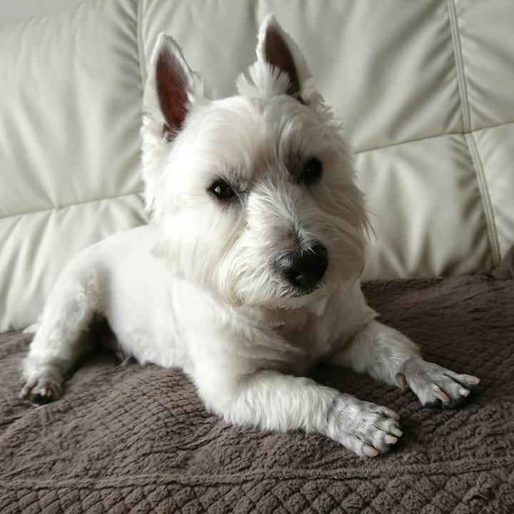 400c5bcd 1ad9 4c51 9d07 2999998ea6da