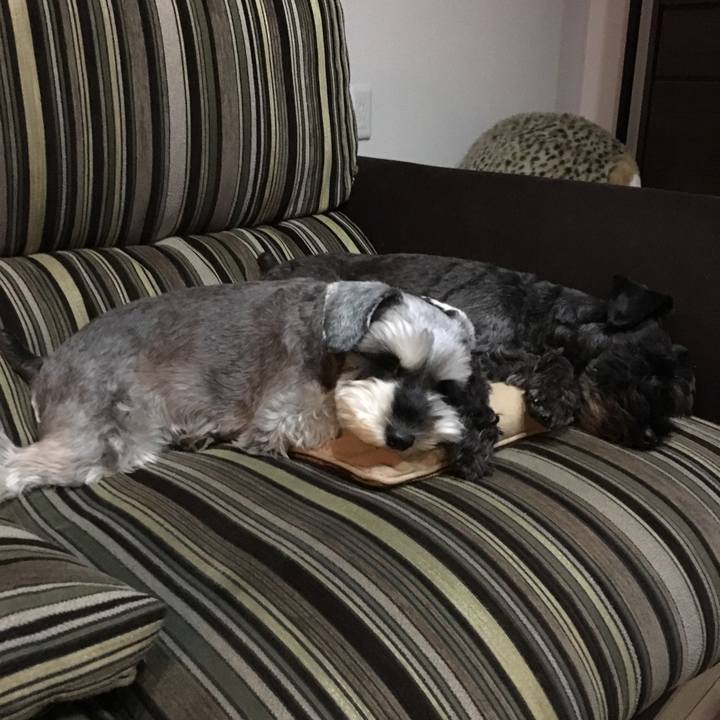 400c9ec5 2a15 4ecb 9d3c f200f63e7df7