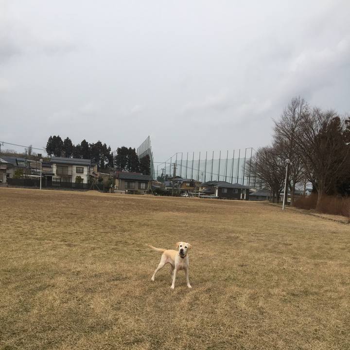 400cb0c4 36e3 4f64 862b 48e553bb8c27