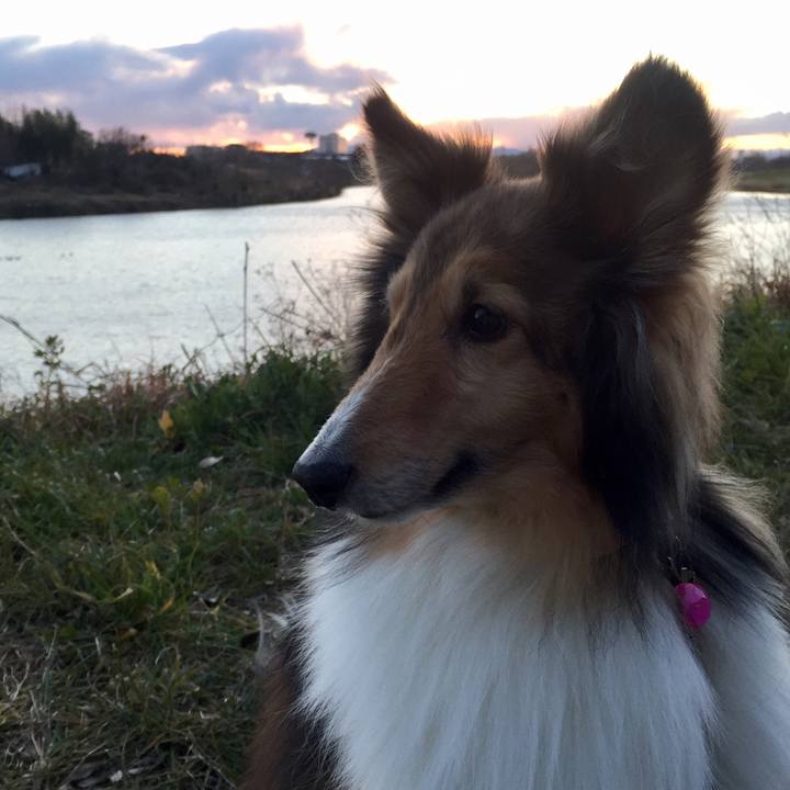 400cfb80 f3e6 4ef5 9455 a2e06c3f2479