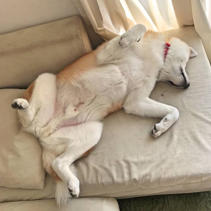 400d1ccc 6f7c 44c8 b2cb dd95f13bc72c