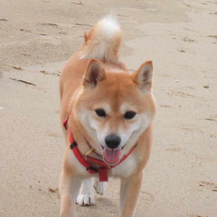 400d3c23 74ec 4f1f a906 800bdff7c1a2