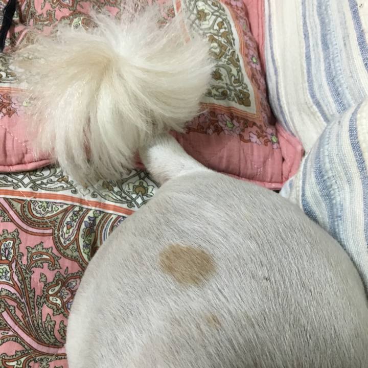 400d68af ac1e 412e 8cab 738512561c39