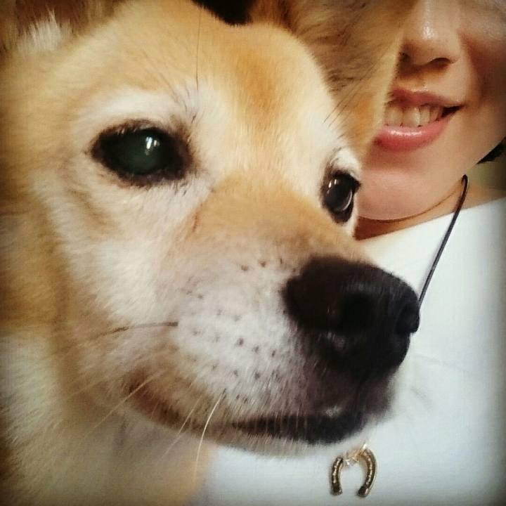 400d7fdd 32a0 43de 8ab1 d425e569d8c4