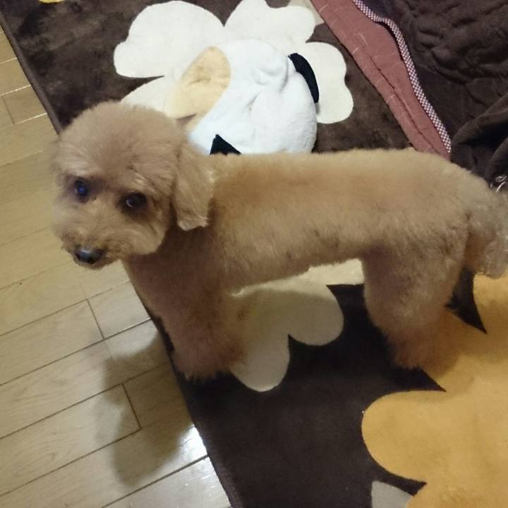 400e2476 aaa4 43ce aedb 64bfcf8c2d65