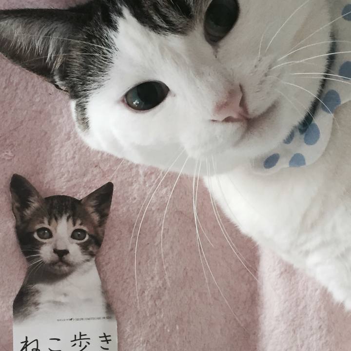 400f288a 6bed 40af a3ea 02ce552150aa