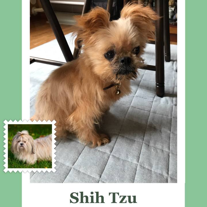 400f41b2 e17f 4f79 ac58 4371e487c728