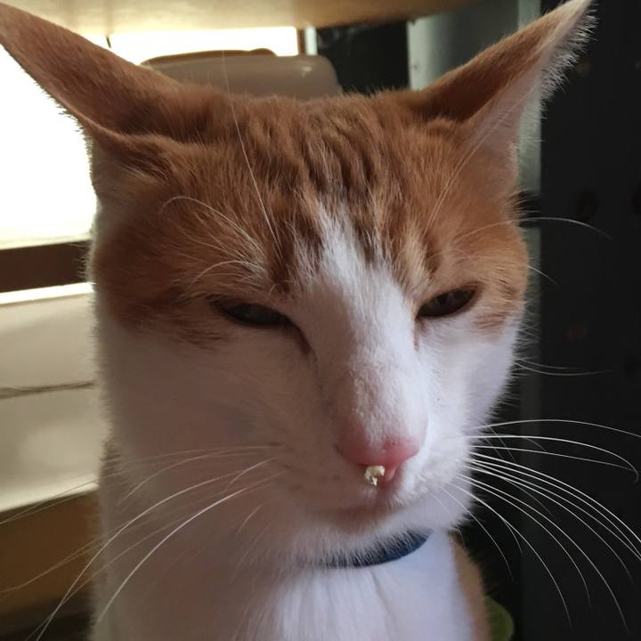 400f594d eb45 4544 a4a0 4f623d7ea90e