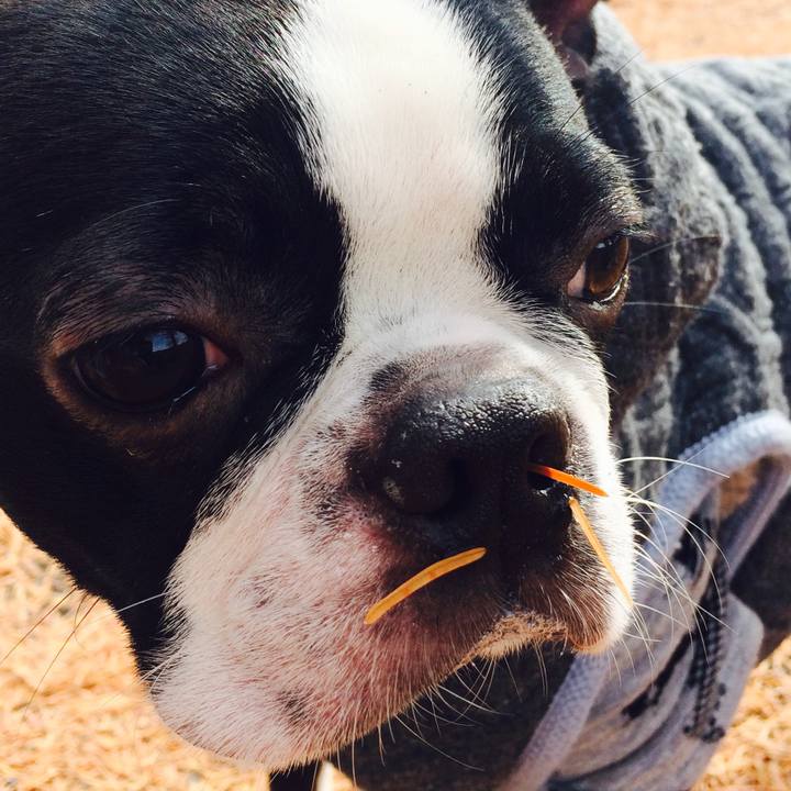 400f72eb ce58 4da5 a291 e866f70f69aa