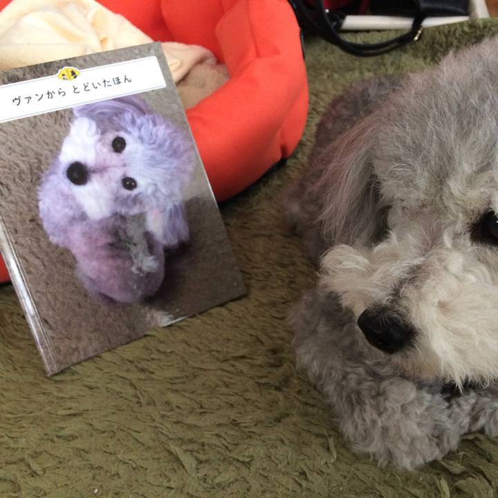 40109f38 debd 45f3 8a58 10de8a441147