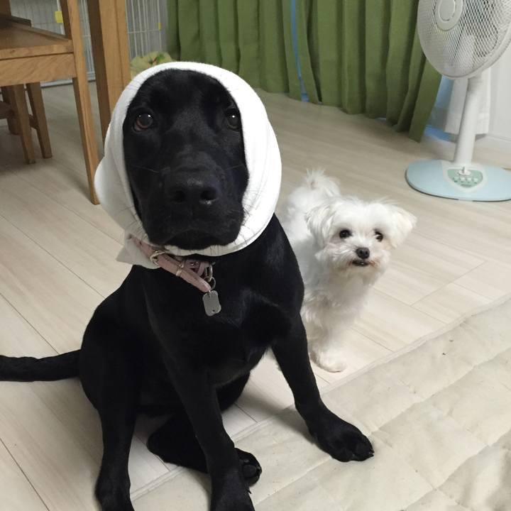 4011b974 36c0 42a8 bf17 b2f057f0ebe5