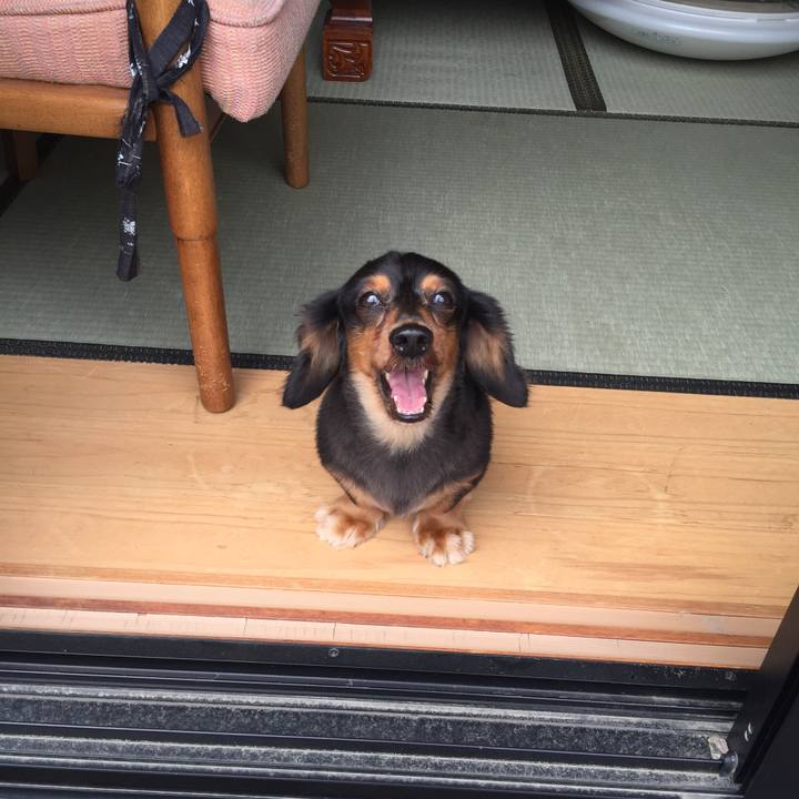 401332eb 57a5 46ff afa8 5f3d64990b87