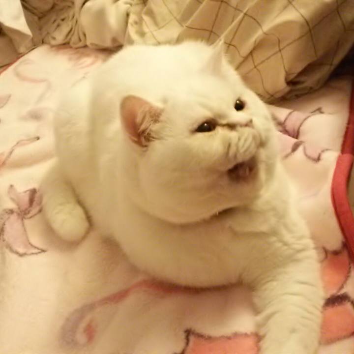 401352c3 03e5 44fc 9314 900e0cdceaaa