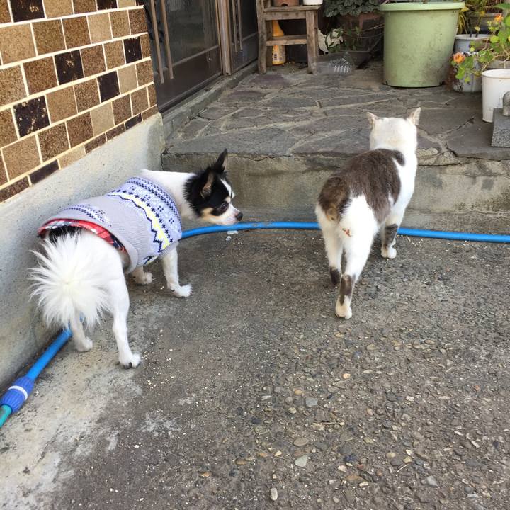 4013f42b 328a 4fd0 8b9b 8aa8540bae46