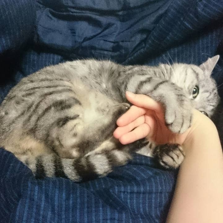 40140747 1e83 435a b329 3be6dfa5b41f