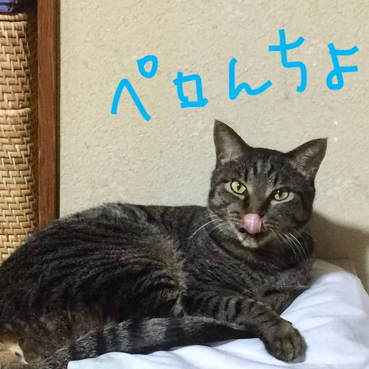 40142938 f477 450f 9644 5c5da2288276