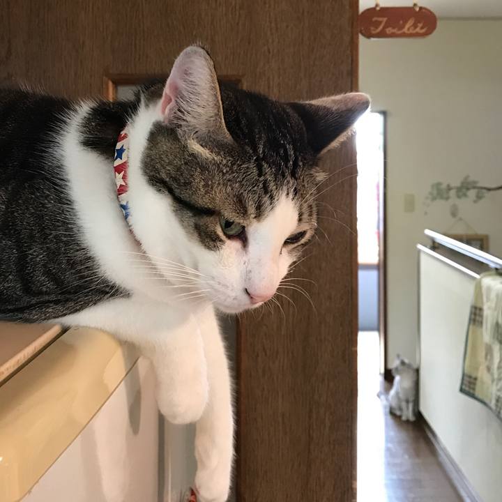 4014c6cc eb64 498f 8b0e ae3fb2716b4c