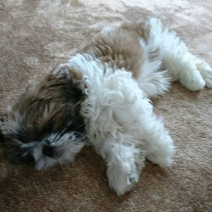 4014cec6 88f9 4b1d 8955 73481740ceb0